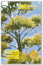The Wonder Is cover